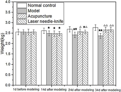 Laser Needle Knife's Effects on Rabbits Cervical Spondylopathy of Vertebral Artery, Fibrinogen, and Blood Viscosity